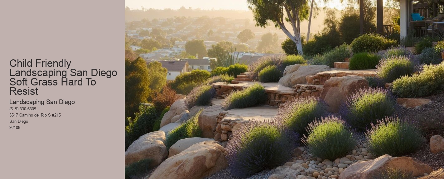 Child Friendly Landscaping San Diego Soft Grass Hard To Resist