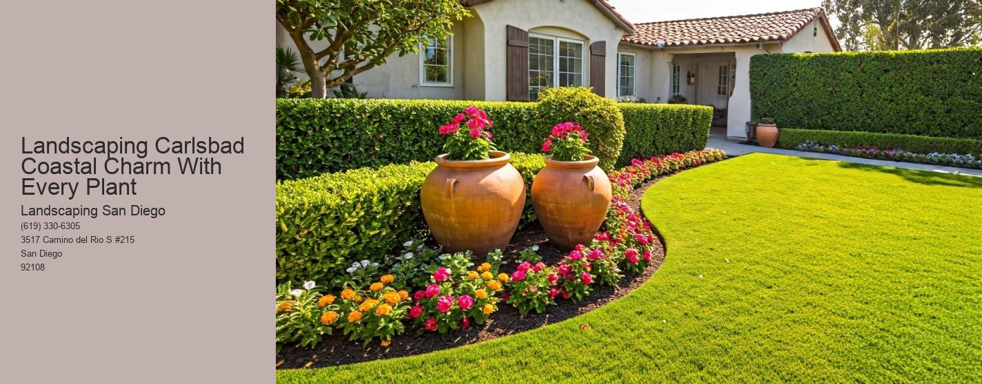 Landscaping Carlsbad Coastal Charm With Every Plant
