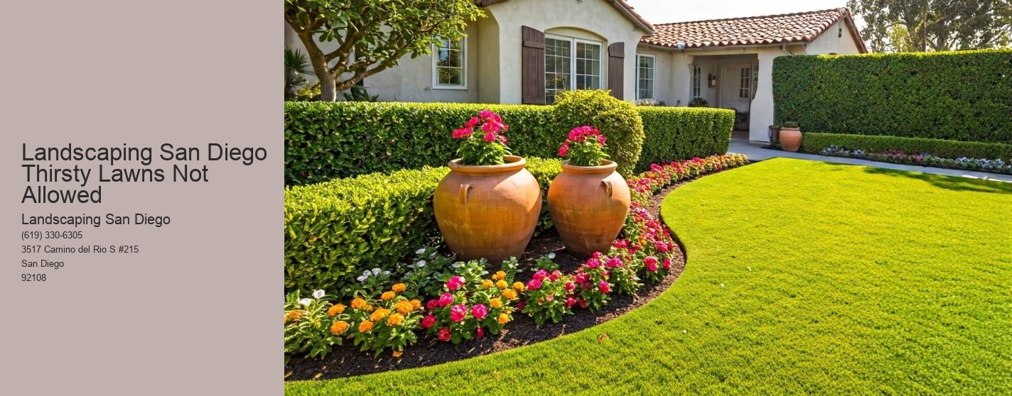 Landscaping San Diego Thirsty Lawns Not Allowed