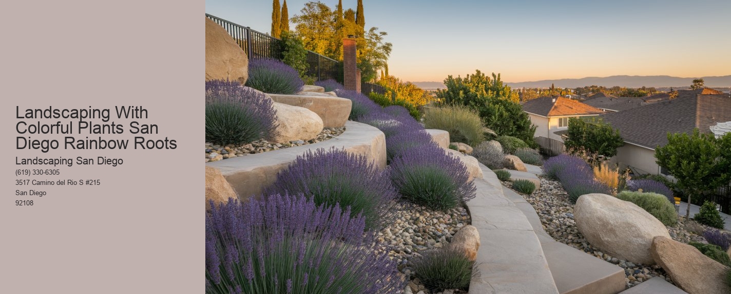 Landscaping With Colorful Plants San Diego Rainbow Roots