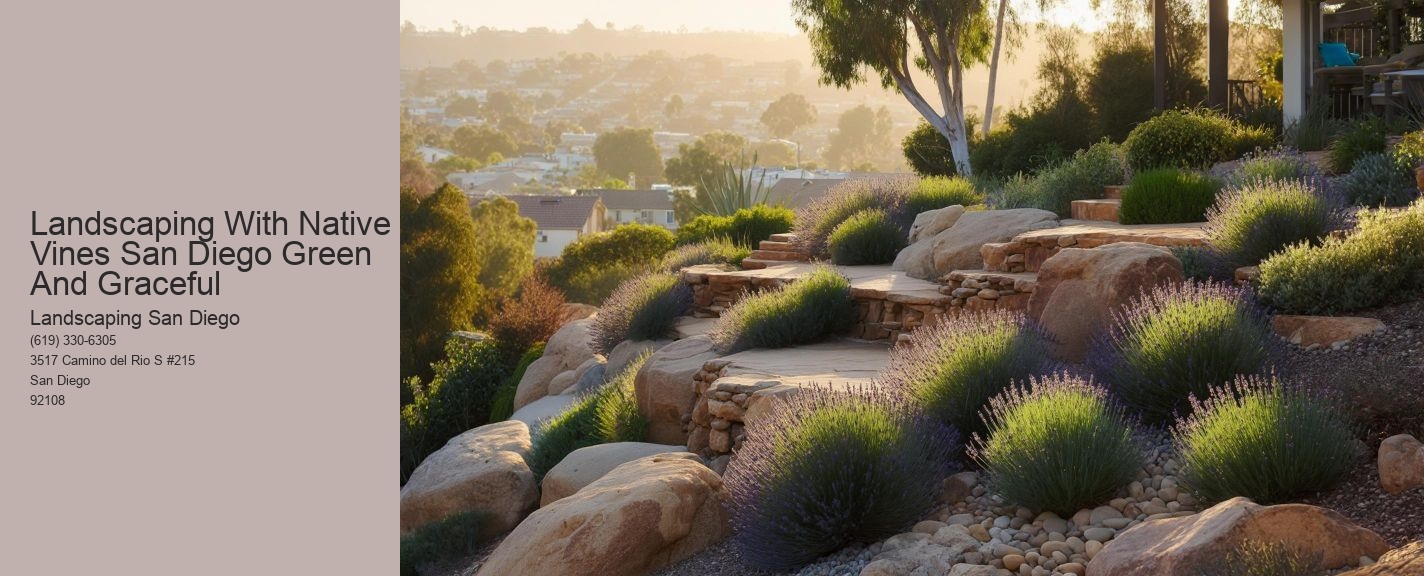 Landscaping With Native Vines San Diego Green And Graceful