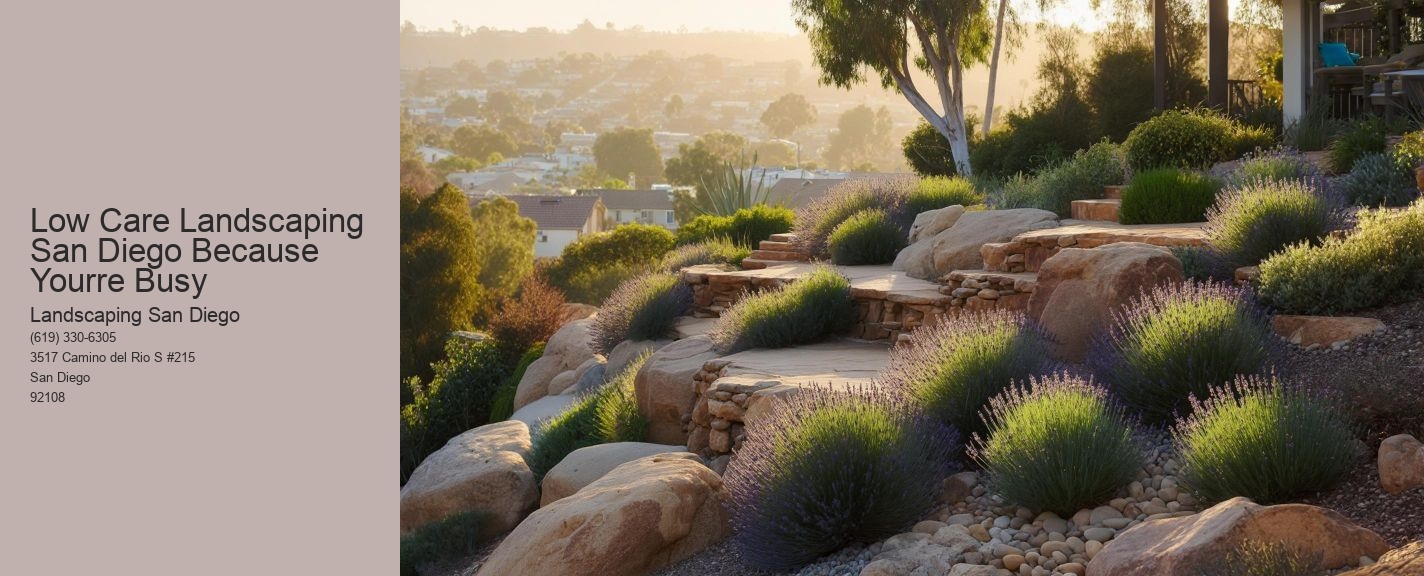 Low Care Landscaping San Diego Because Yourre Busy