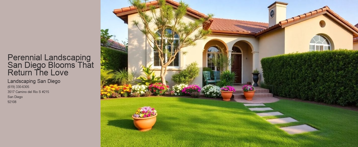 Perennial Landscaping San Diego Blooms That Return The Love