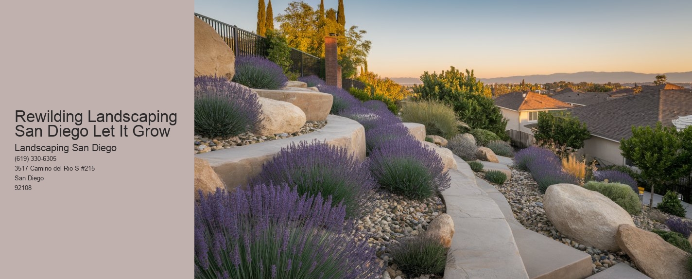 Rewilding Landscaping San Diego Let It Grow