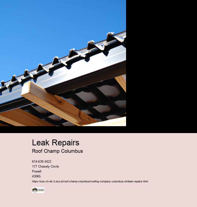 Identifying the source of the leak