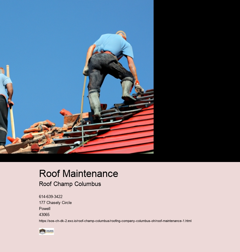Importance of regular roof maintenance