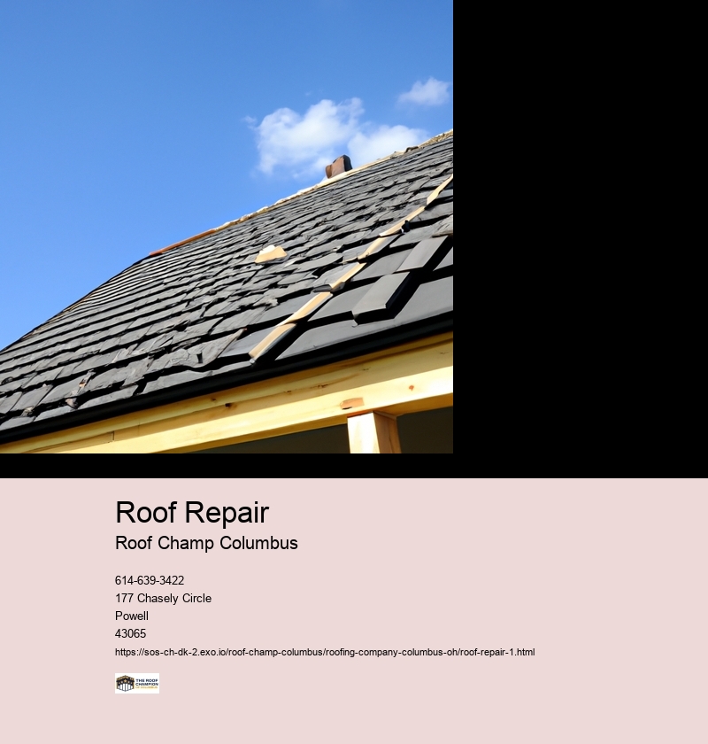 Signs that indicate a need for roof repair