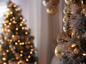 Can your lights increase my home’s curb appeal?