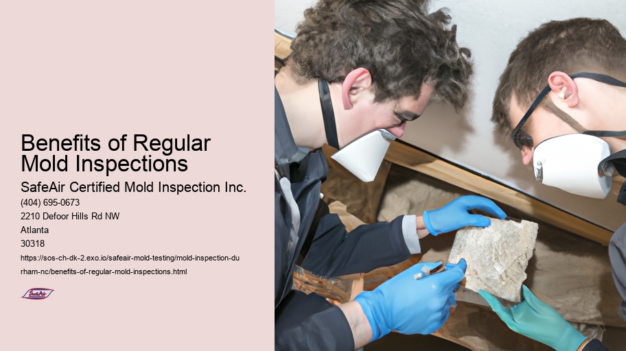 Benefits of Regular Mold Inspections