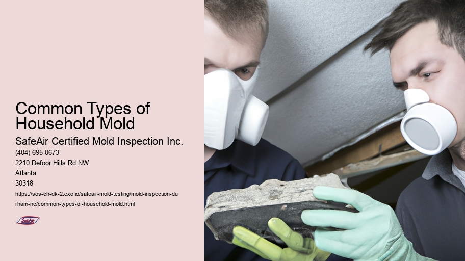 Common Types of Household Mold