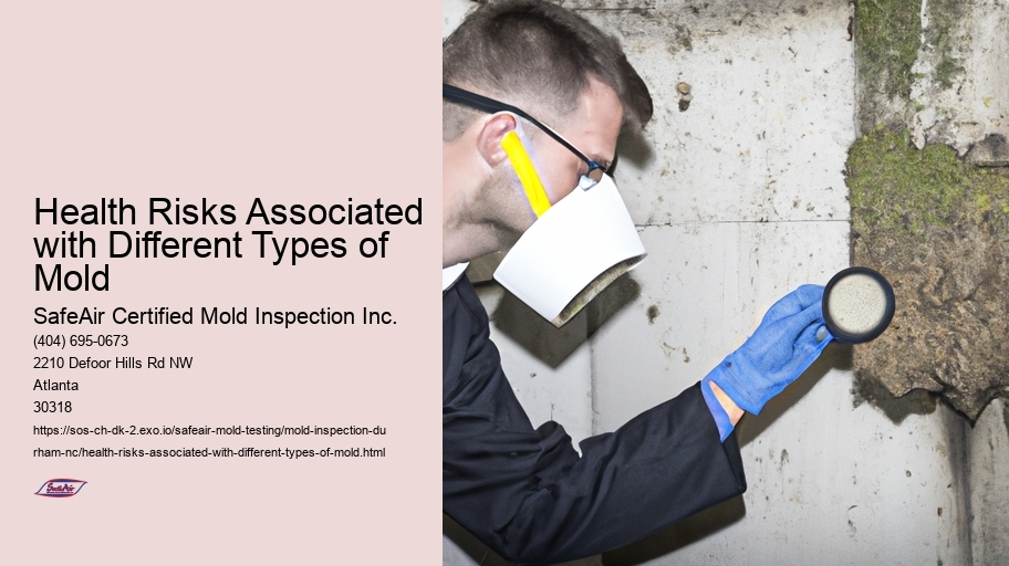 Health Risks Associated with Different Types of Mold