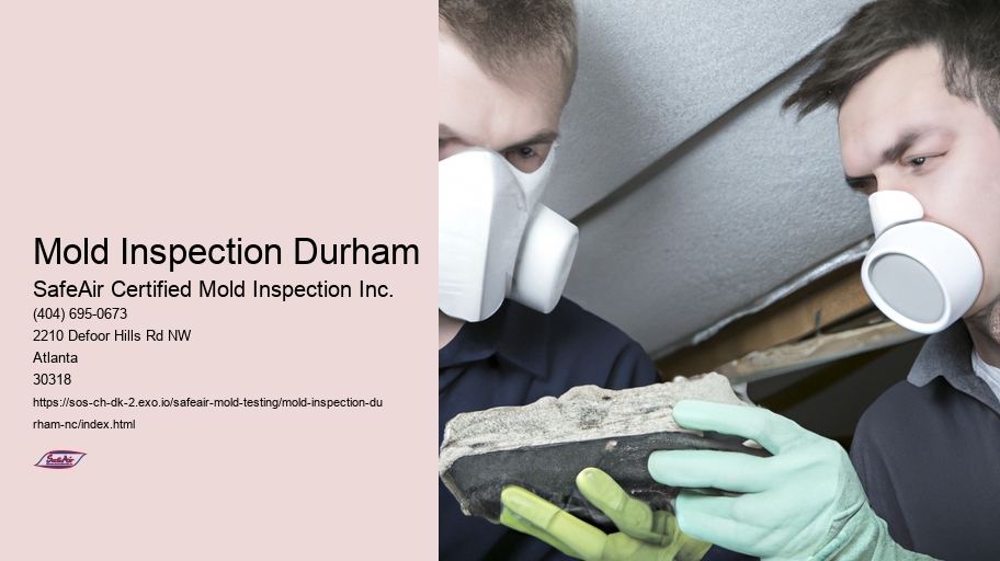 Mold Inspection Durham