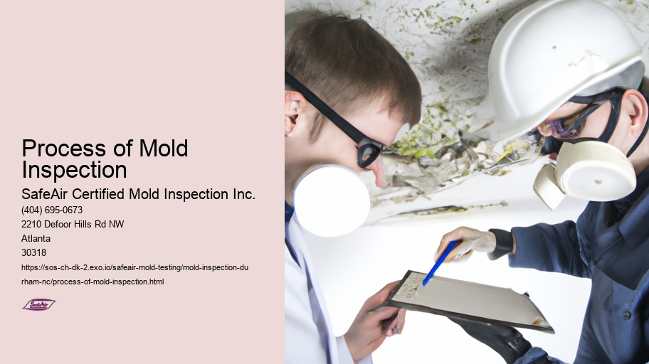 Process of Mold Inspection