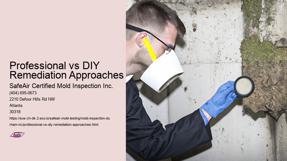 Professional vs DIY Remediation Approaches