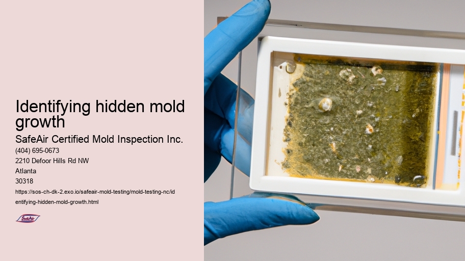 Identifying hidden mold growth