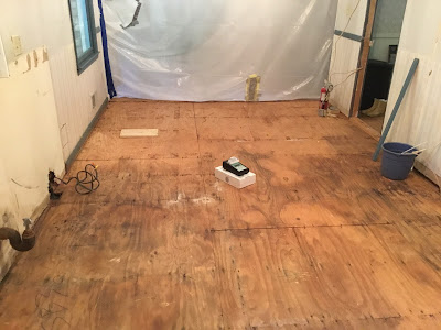 Moisture Testing for Mold