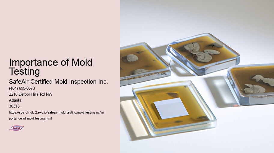 Importance of Mold Testing