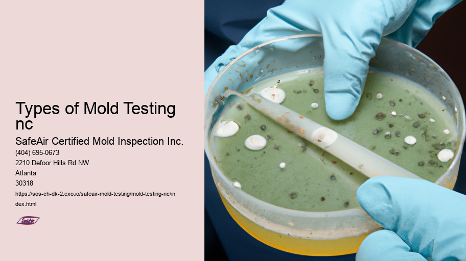 Types of Mold Testing nc