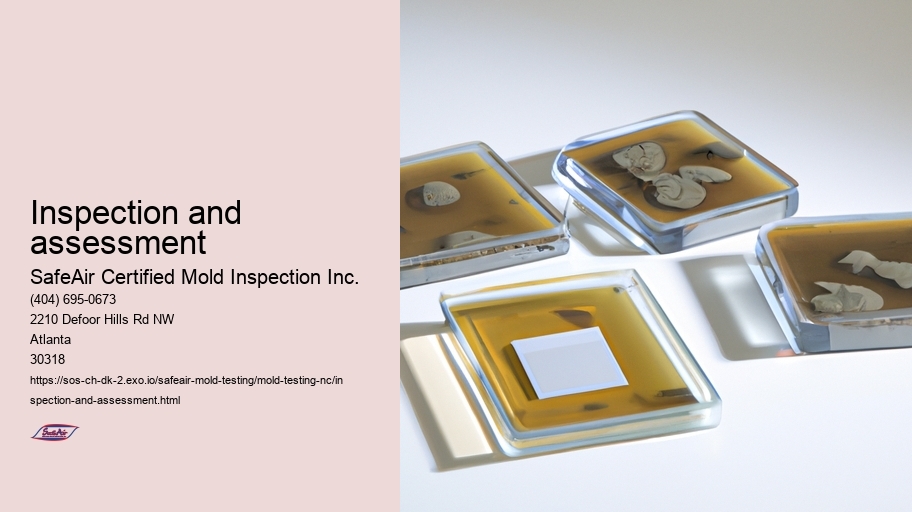Inspection and assessment