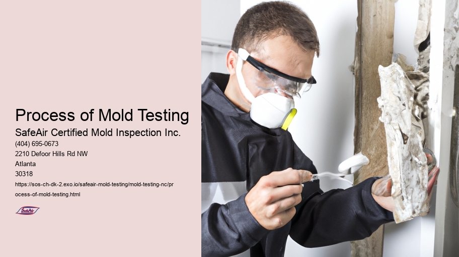Process of Mold Testing