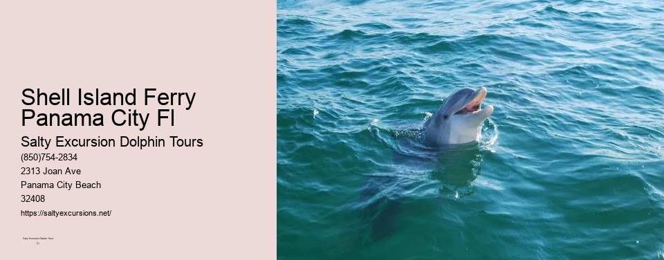 Shell Island Ferry Panama City Fl