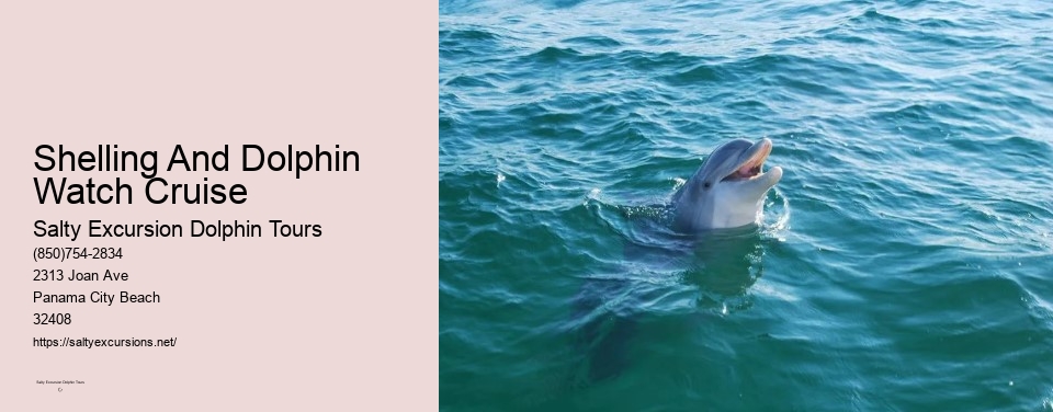 Shelling And Dolphin Watch Cruise