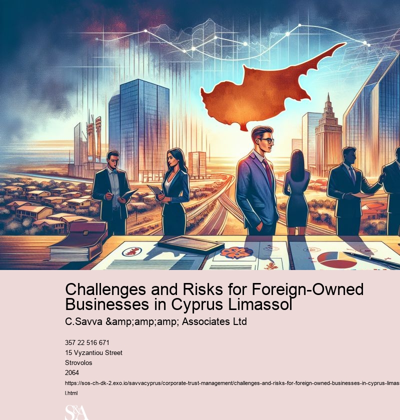 Challenges and Risks for Foreign-Owned Businesses in Cyprus Limassol