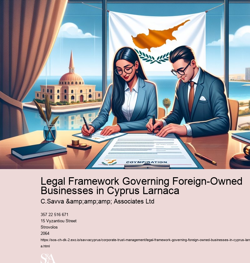 Legal Framework Governing Foreign-Owned Businesses in Cyprus Larnaca