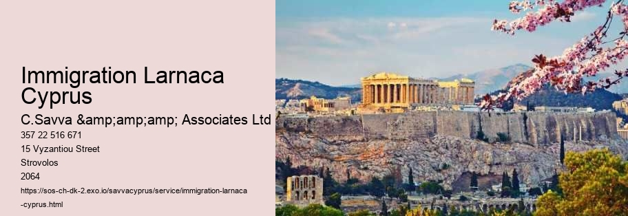 Immigration Larnaca Cyprus