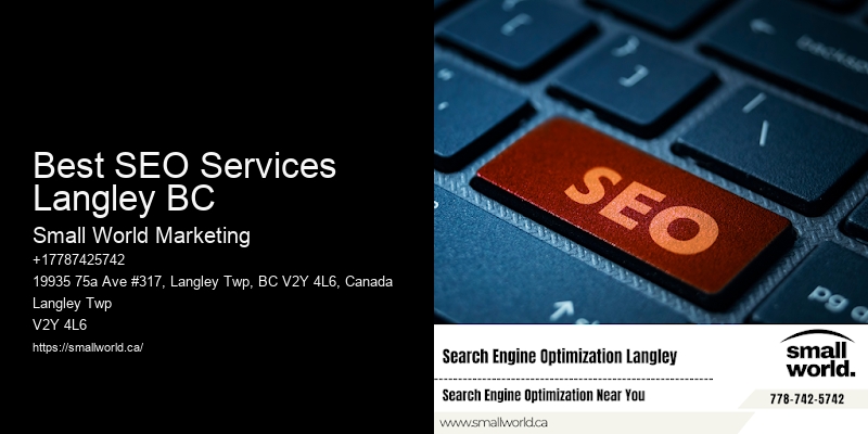 Best SEO Services Langley BC