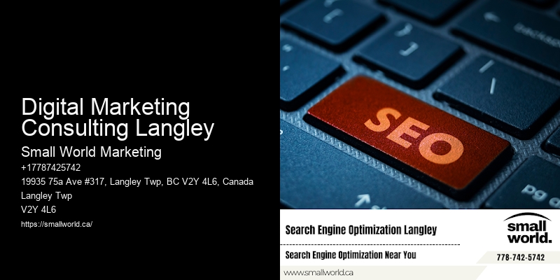 Digital Marketing Consulting Langley