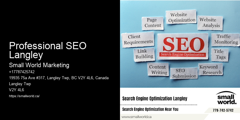 Professional SEO Langley