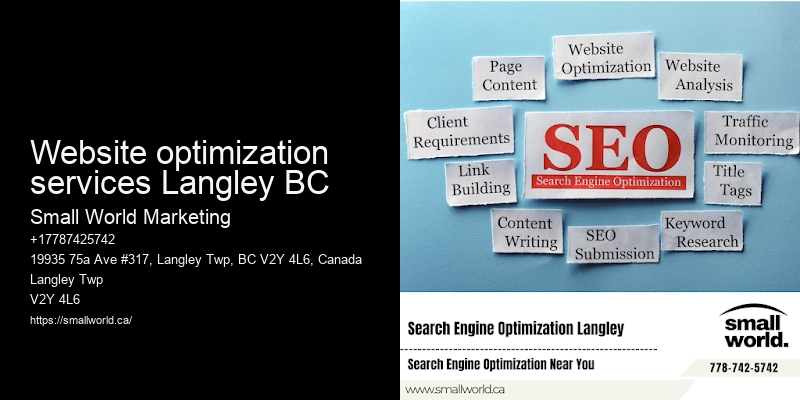 Website optimization services Langley BC