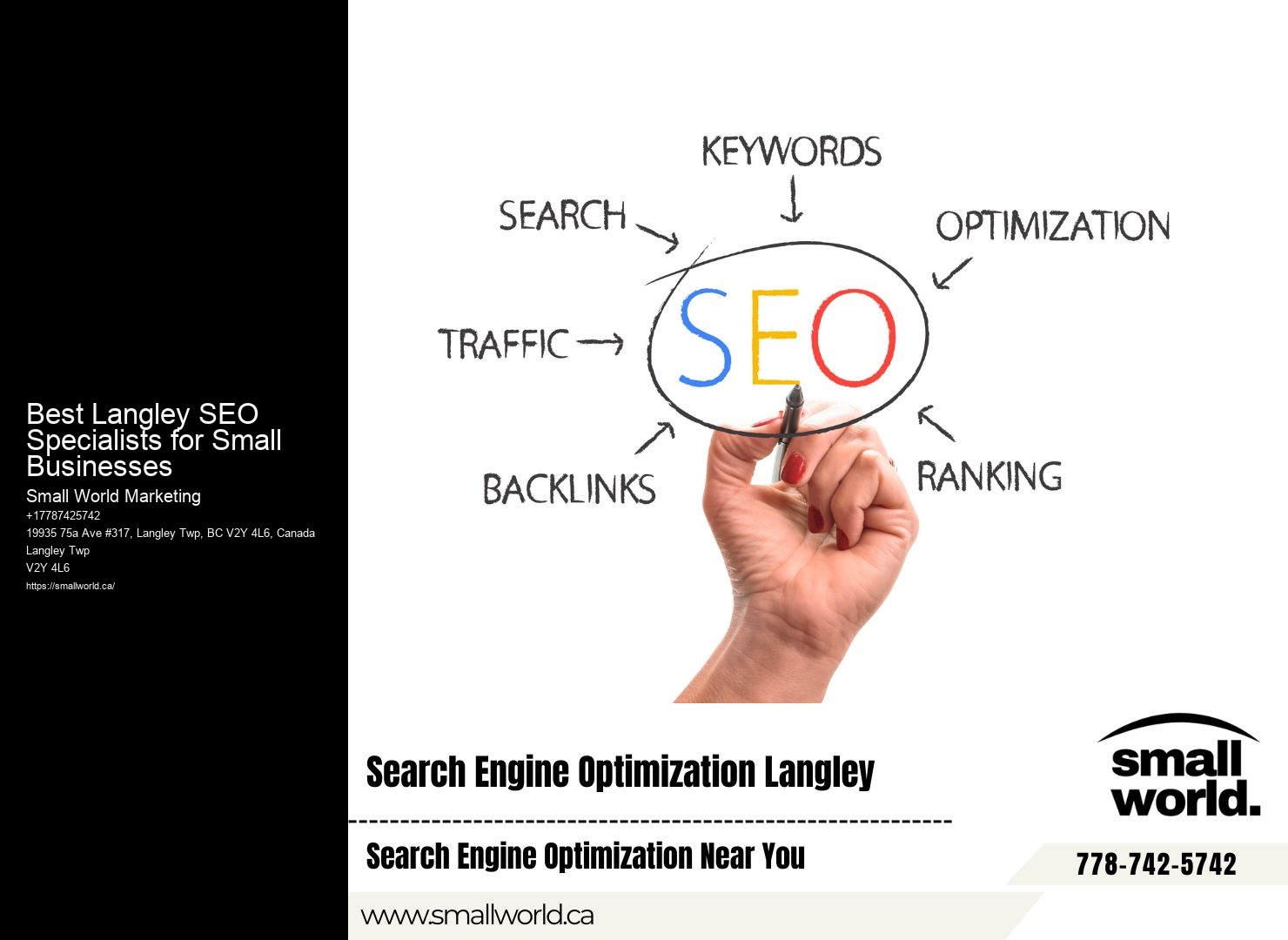 Best Langley SEO Specialists for Small Businesses SEO Experts for Web Traffic