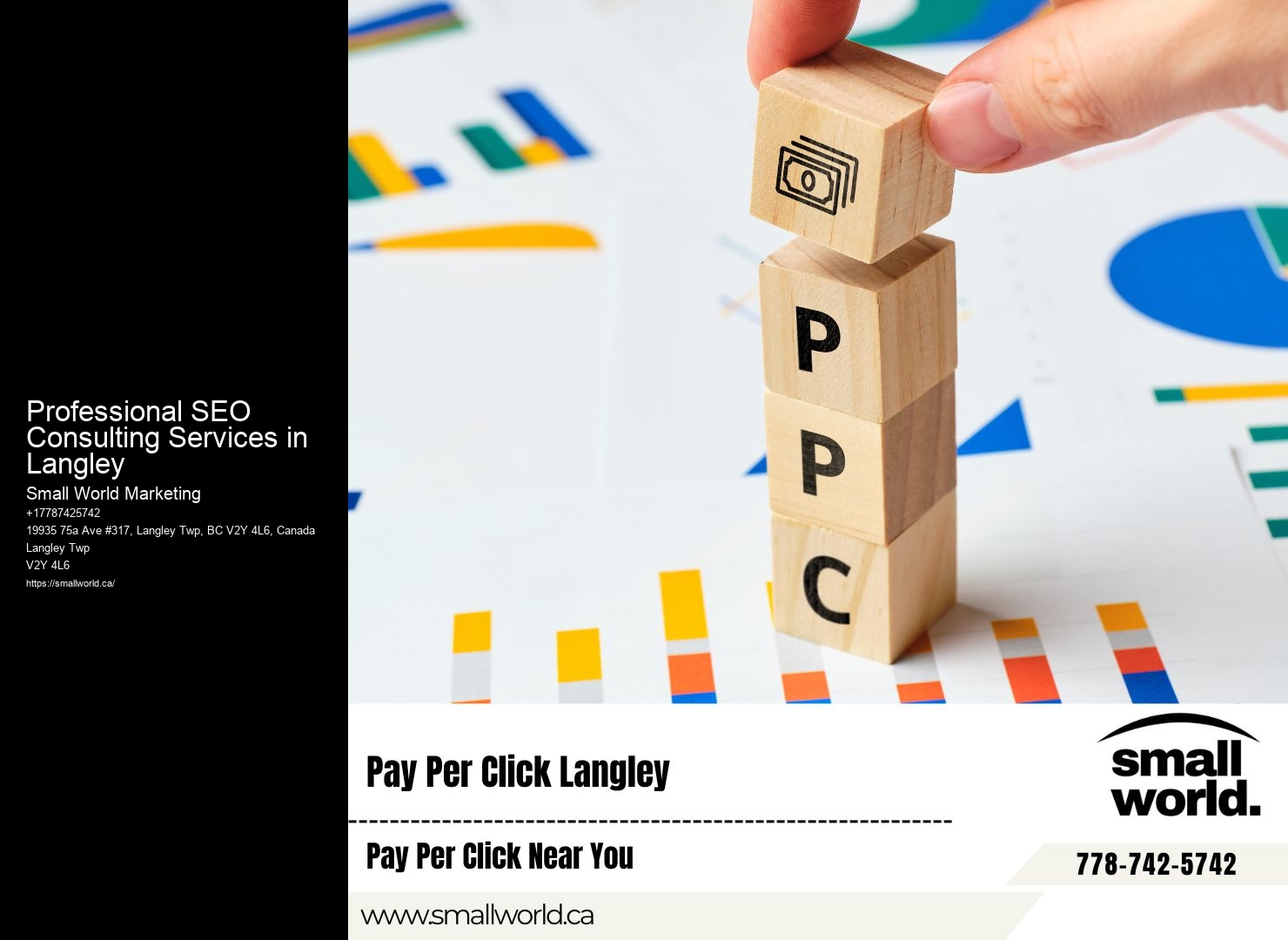 Professional SEO Consulting Services in Langley SEO Marketing Solutions