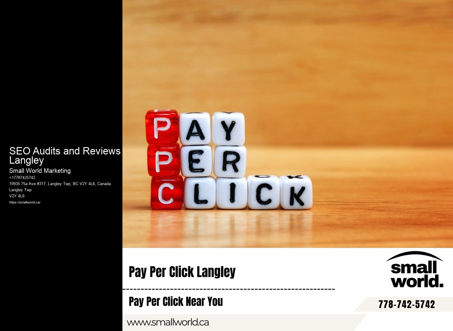 SEO Audits and Reviews Langley SEO Marketing Packages