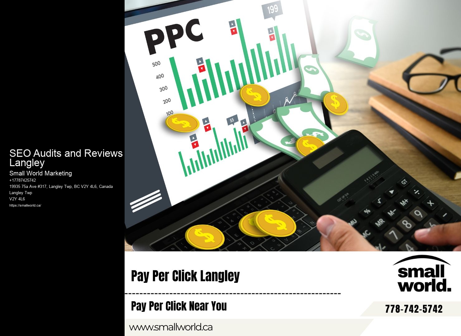 SEO Audits and Reviews Langley Digital SEO Services
