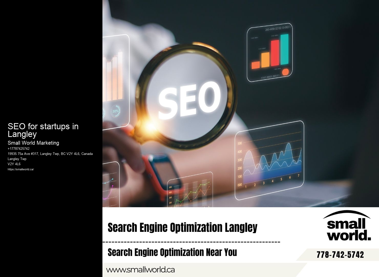 Professional SEO for startups in Langley SEO Consultants