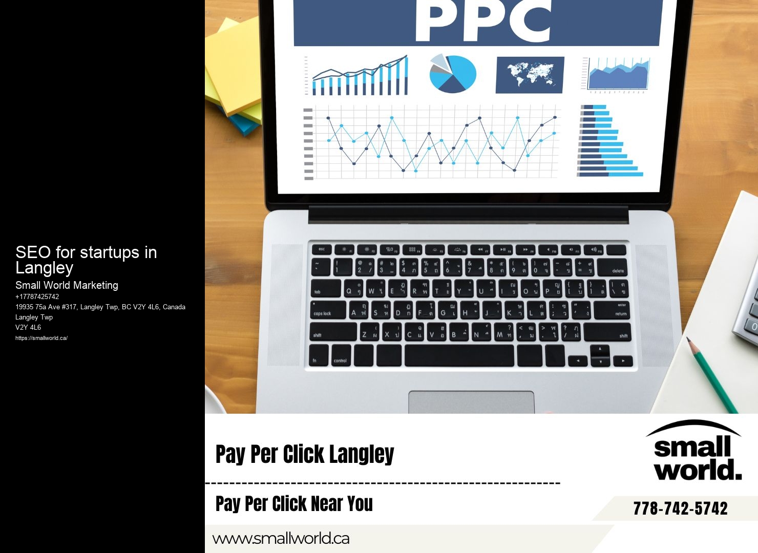 Professional SEO consultants SEO for startups in Langley