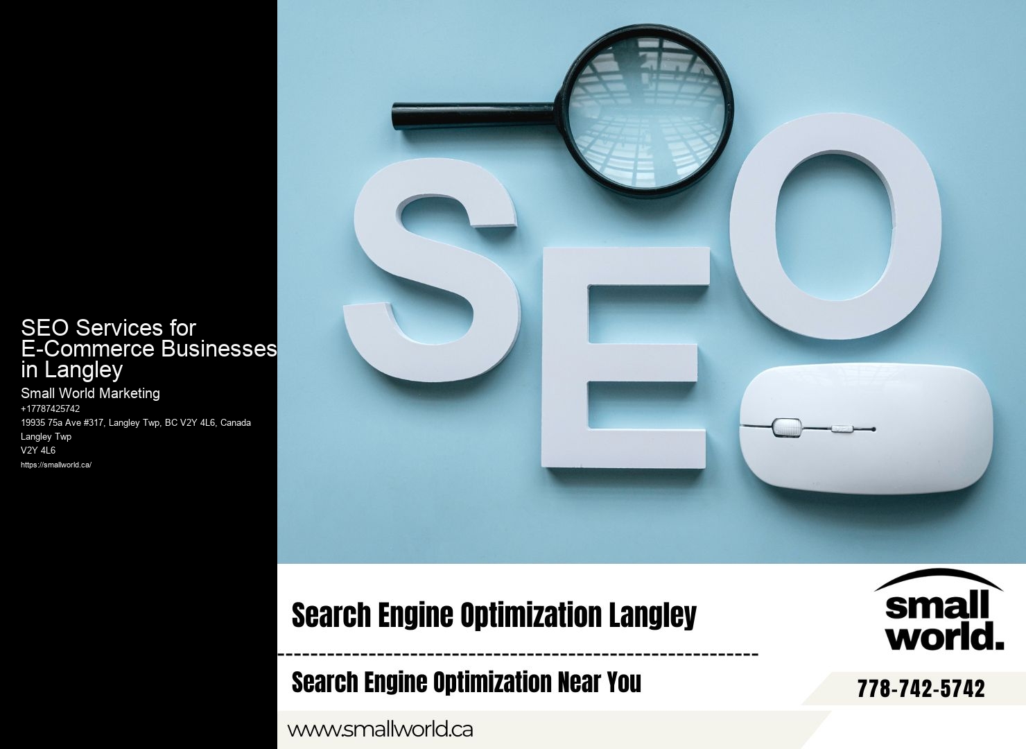 SEO Consultants in SEO Services for E-Commerce Businesses in Langley