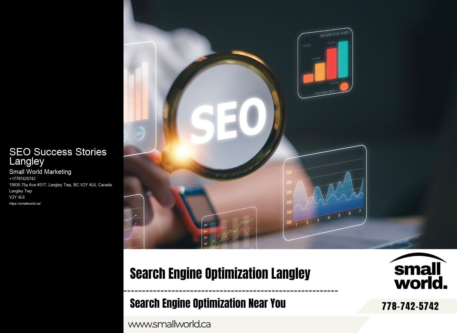 SEO Success Stories Langley SEO Analysis