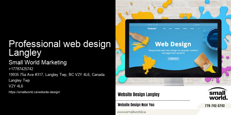 Professional web design Langley