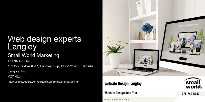 Web design experts Langley