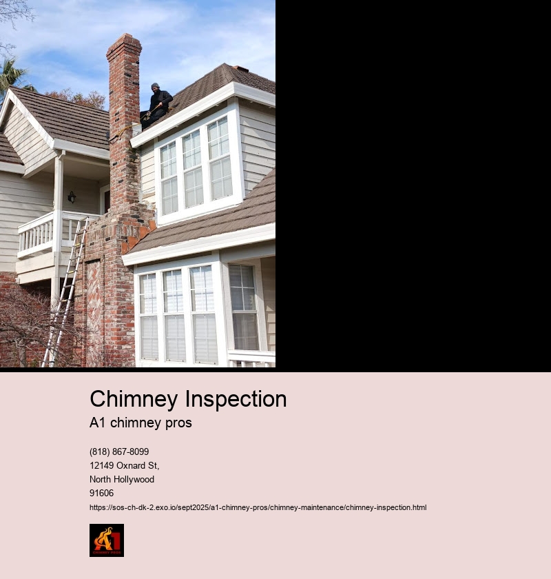 Common Chimney Issues