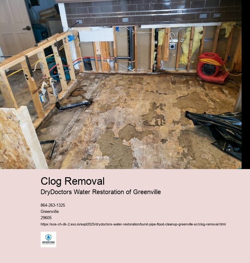 Tools Needed for Clog Removal