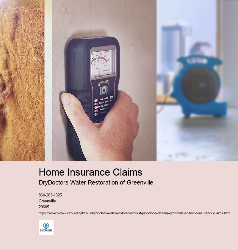 Contacting your insurance company