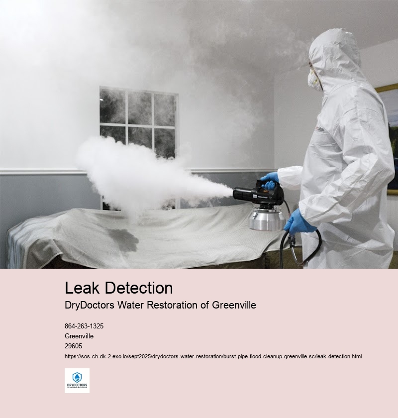 Causes of Burst Pipes