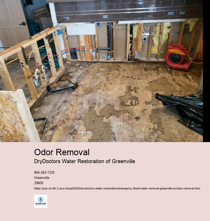 Importance of Proper Odor Removal Techniques