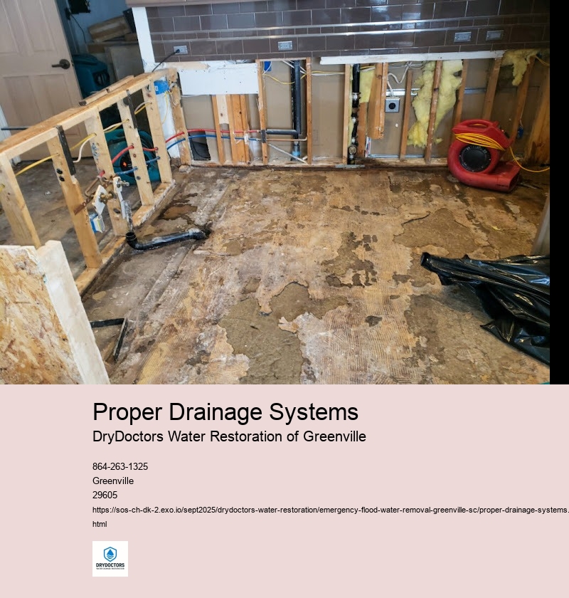 Importance of Proper Drainage Systems
