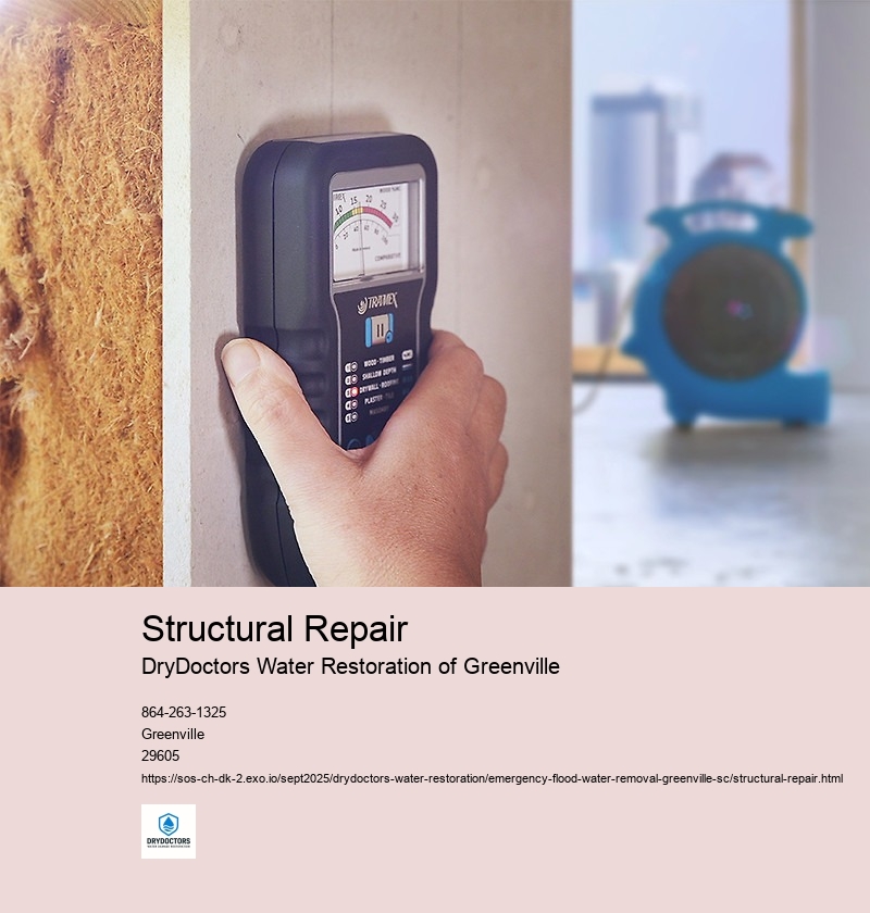 Inspection and Assessment of Structural Damage